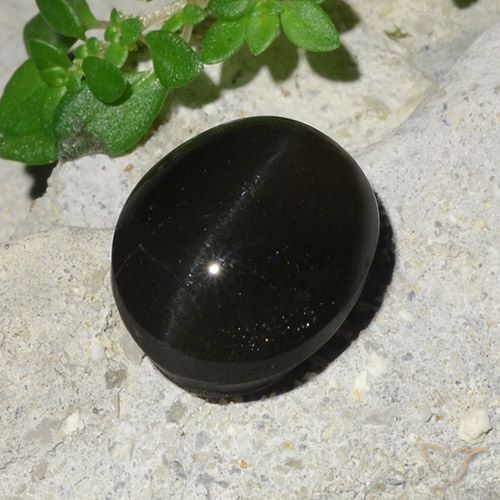 7.45ct طبيعي أسود سكاتوليت عين القط, بيضوي, نصف شفاف