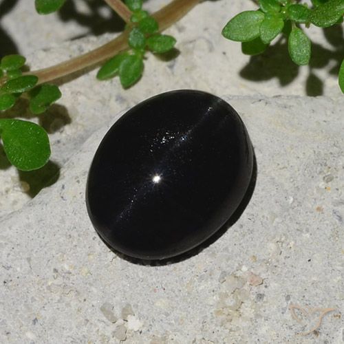 4.10ct طبيعي أسود سكاتوليت عين القط, بيضوي, غير شفاف