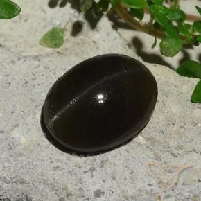 Cat's Eye Scapolite طبيعي بلون أسود، وزن ‎5.10‎ قيراط، شكل بيضاوى، مقاس ‎11.9x9.1‎ مم