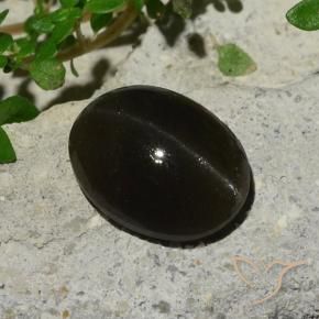 Cat's Eye Scapolite طبيعي بلون أسود، وزن ‎5.10‎ قيراط، شكل بيضاوى، مقاس ‎11.9x9.1‎ مم