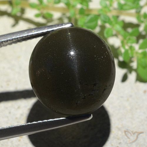 14.13ct طبيعي أسود سكاتوليت عين القط, بيضوي, غير شفاف
