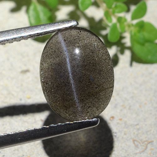2.34ct طبيعي أسود سكاتوليت عين القط, بيضوي, نصف شفاف