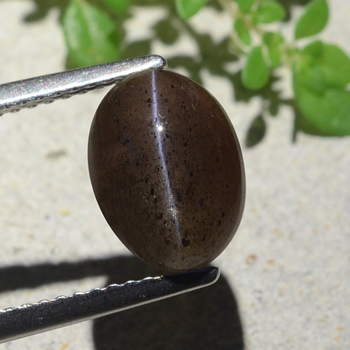 سكاتوليت عين القط أسود دافئ طبيعي، قصة بيضاوى، 4.04 قيراط، نصف شفاف