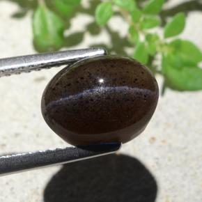 سكاتوليت عين القط أسود دافئ طبيعي، قصة بيضاوى، 4.04 قيراط، نصف شفاف