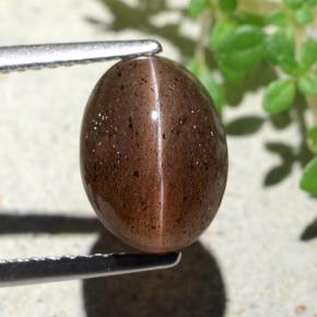 Cat's Eye Scapolite طبيعي بلون برتقالي بني عميق، وزن ‎4.55‎ قيراط، شكل بيضاوى، مقاس ‎10.7x7.9‎ مم