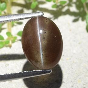 Cat's Eye Scapolite طبيعي بلون بنى دافئ، وزن ‎3.84‎ قيراط، شكل بيضاوى، مقاس ‎10.6x8‎ مم