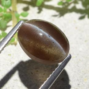 Cat's Eye Scapolite طبيعي بلون بنى دافئ، وزن ‎3.84‎ قيراط، شكل بيضاوى، مقاس ‎10.6x8‎ مم