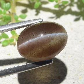 Cat's Eye Scapolite طبيعي بلون بنى دافئ، وزن ‎3.84‎ قيراط، شكل بيضاوى، مقاس ‎10.6x8‎ مم