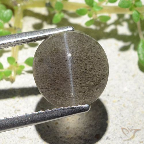 Cat's Eye Scapolite طبيعي بلون بنى فاتح-متوسط، وزن ‎3.94‎ قيراط، شكل بيضاوى، مقاس ‎9.6x9.2‎ مم