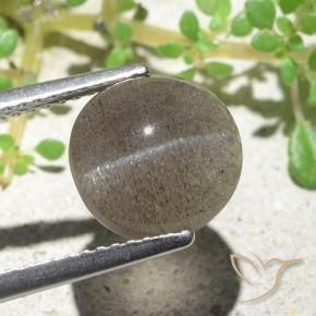 Cat's Eye Scapolite طبيعي بلون بنى فاتح-متوسط، وزن ‎3.94‎ قيراط، شكل بيضاوى، مقاس ‎9.6x9.2‎ مم