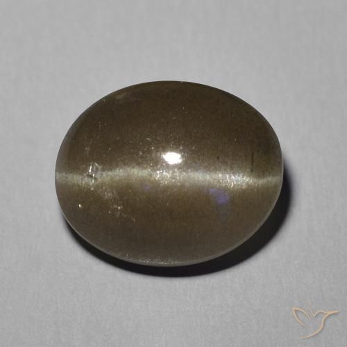 5.81ct طبيعي بنى متوسط سكاتوليت عين القط, بيضوي, نصف شفاف