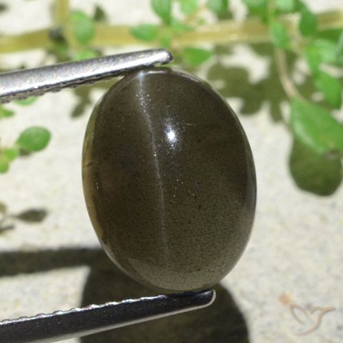 4.70ct طبيعي بنى فاتح-متوسط سكاتوليت عين القط, بيضوي, نصف شفاف