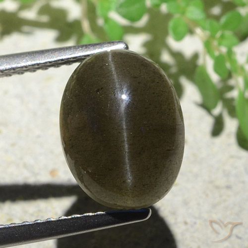 4.97ct طبيعي بنى فاتح-متوسط سكاتوليت عين القط, بيضوي, نصف شفاف
