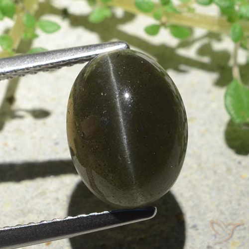 Cat's Eye Scapolite طبيعي بلون بني مخضر، وزن ‎4.66‎ قيراط، شكل بيضاوى، مقاس ‎11.1x8.3‎ مم