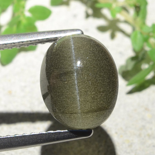Cat's Eye Scapolite طبيعي بلون بني مخضر، وزن ‎4.00‎ قيراط، شكل بيضاوى، مقاس ‎10x8‎ مم