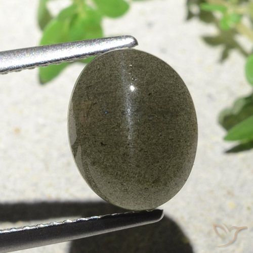 4.55ct طبيعي بنى متوسط سكاتوليت عين القط, بيضوي, نصف شفاف