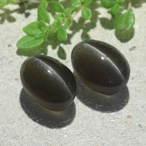 Cat's Eye Scapolite طبيعي بلون أسود، وزن ‎6.12‎ قيراط، شكل بيضاوى، مقاس ‎9.6x7‎ مم