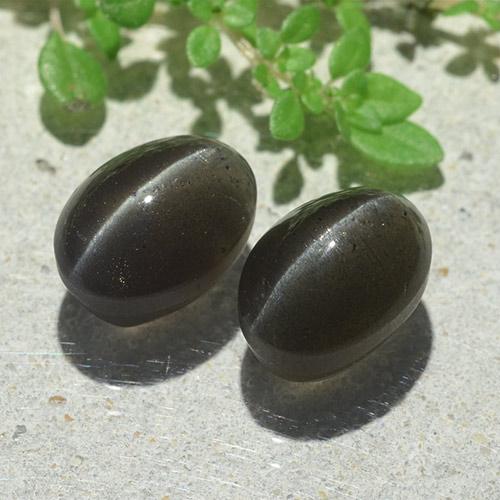 Cat's Eye Scapolite طبيعي بلون أسود، وزن ‎6.12‎ قيراط، شكل بيضاوى، مقاس ‎9.6x7‎ مم