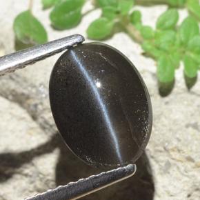 Cat's Eye Scapolite طبيعي بلون أسود، وزن ‎2.56‎ قيراط، شكل بيضاوى، مقاس ‎10.2x7.5‎ مم