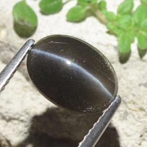 Cat's Eye Scapolite طبيعي بلون أسود، وزن ‎2.56‎ قيراط، شكل بيضاوى، مقاس ‎10.2x7.5‎ مم