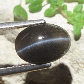 Cat's Eye Scapolite طبيعي بلون أسود، وزن ‎2.56‎ قيراط، شكل بيضاوى، مقاس ‎10.2x7.5‎ مم