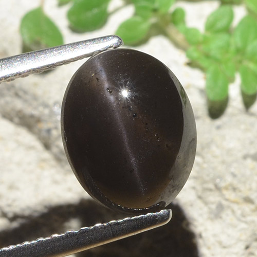 سكاتوليت عين القط أسود طبيعي، قصة بيضاوى، 3.42 قيراط، نصف شفاف