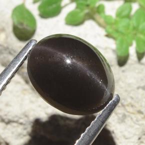 سكاتوليت عين القط أسود طبيعي، قصة بيضاوى، 3.42 قيراط، نصف شفاف