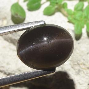 سكاتوليت عين القط أسود طبيعي، قصة بيضاوى، 3.42 قيراط، نصف شفاف