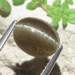 سكاتوليت عين القط بنى متوسط طبيعي، قصة بيضاوى، 2.60 قيراط، نصف شفاف