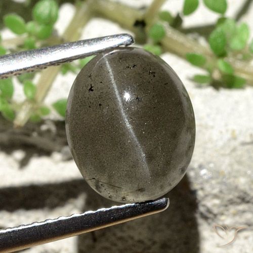 3.81ct طبيعي رمادي غامق سكاتوليت عين القط, بيضوي, نصف شفاف