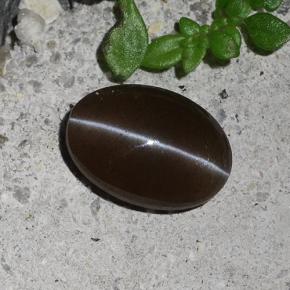 سكاتوليت عين القط بنى طبيعي، قصة بيضاوى، 2.03 قيراط، نصف شفاف