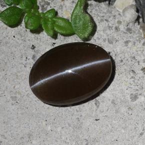 سكاتوليت عين القط بنى طبيعي، قصة بيضاوى، 2.03 قيراط، نصف شفاف