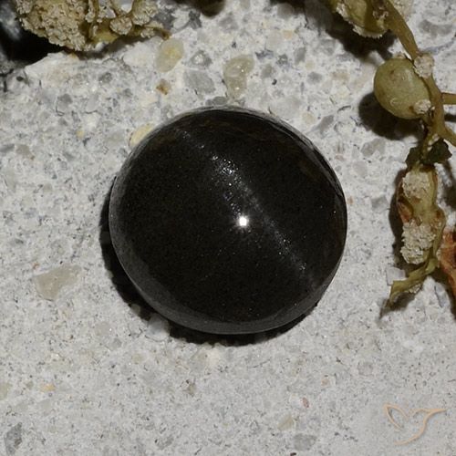 2.12ct طبيعي أسود سكاتوليت عين القط, دائري, نصف شفاف