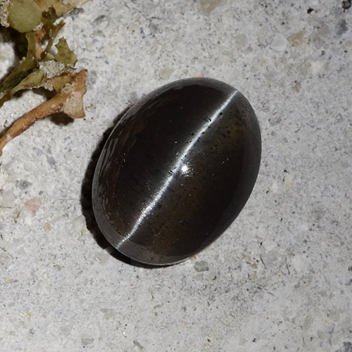 Cat's Eye Scapolite طبيعي بلون أسود، وزن ‎2.30‎ قيراط، شكل بيضاوى، مقاس ‎9.2x6.9‎ مم