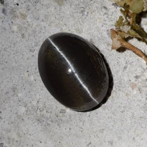 Cat's Eye Scapolite طبيعي بلون أسود، وزن ‎2.30‎ قيراط، شكل بيضاوى، مقاس ‎9.2x6.9‎ مم