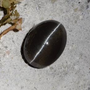 Cat's Eye Scapolite طبيعي بلون أسود، وزن ‎2.30‎ قيراط، شكل بيضاوى، مقاس ‎9.2x6.9‎ مم