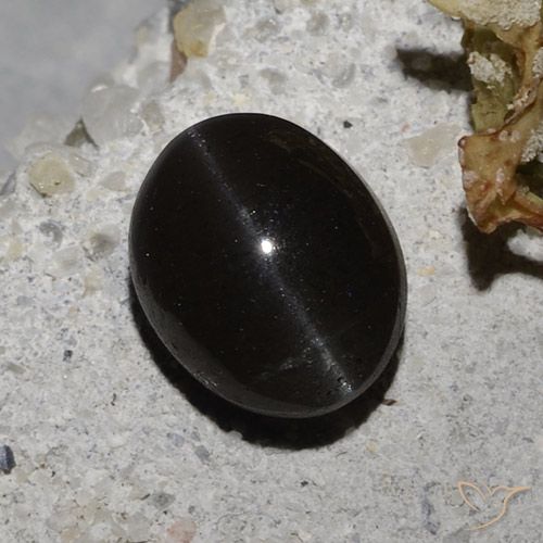 2.35ct طبيعي أسود سكاتوليت عين القط, بيضوي, نصف شفاف