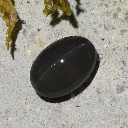 1.48ct طبيعي أسود سكاتوليت عين القط, بيضوي, نصف شفاف