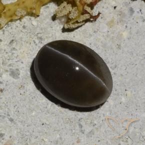 سكاتوليت عين القط أسود دافئ طبيعي، قصة بيضاوى، 1.35 قيراط، نصف شفاف