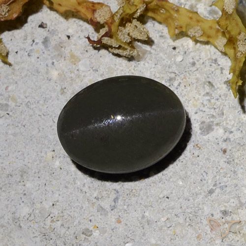 2.09ct طبيعي أسود رمادى داكن سكاتوليت عين القط, بيضوي, نصف شفاف