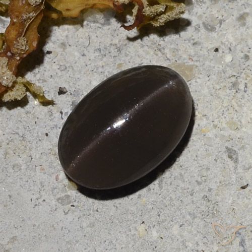 Cat's Eye Scapolite طبيعي بلون بنى شيكولاتى، وزن ‎1.25‎ قيراط، شكل بيضاوى، مقاس ‎8.1x5.4‎ مم