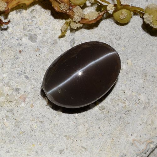1.81ct طبيعي بني غامق سكاتوليت عين القط, بيضوي, نصف شفاف
