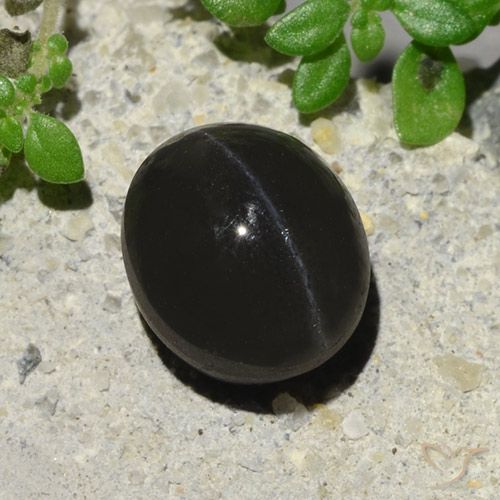 2.94ct طبيعي أسود سكاتوليت عين القط, بيضوي, نصف شفاف