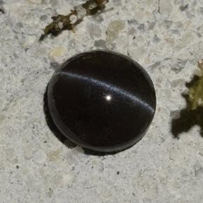 Cat's Eye Scapolite طبيعي بلون أسود، وزن ‎1.14‎ قيراط، شكل بيضاوى، مقاس ‎6.5x6‎ مم