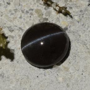 Cat's Eye Scapolite طبيعي بلون أسود، وزن ‎1.14‎ قيراط، شكل بيضاوى، مقاس ‎6.5x6‎ مم