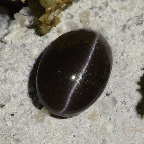 Cat's Eye Scapolite طبيعي بلون أسود دافئ، وزن ‎1.47‎ قيراط، شكل بيضاوى، مقاس ‎7.9x5.6‎ مم
