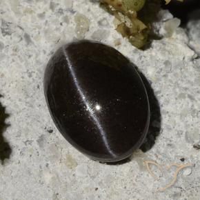 Cat's Eye Scapolite طبيعي بلون أسود دافئ، وزن ‎1.47‎ قيراط، شكل بيضاوى، مقاس ‎7.9x5.6‎ مم