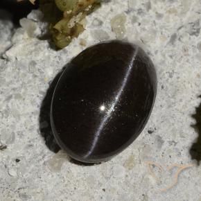 Cat's Eye Scapolite طبيعي بلون أسود دافئ، وزن ‎1.47‎ قيراط، شكل بيضاوى، مقاس ‎7.9x5.6‎ مم