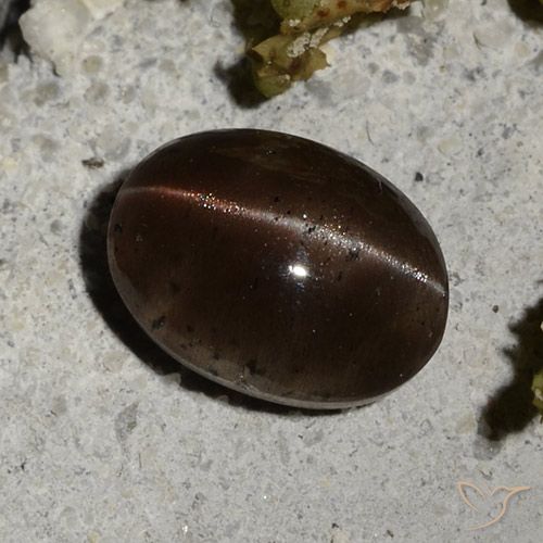 Cat's Eye Scapolite طبيعي بلون بني داكن، وزن ‎2.44‎ قيراط، شكل بيضاوى، مقاس ‎9x6.6‎ مم