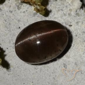 Cat's Eye Scapolite طبيعي بلون بني داكن، وزن ‎2.44‎ قيراط، شكل بيضاوى، مقاس ‎9x6.6‎ مم